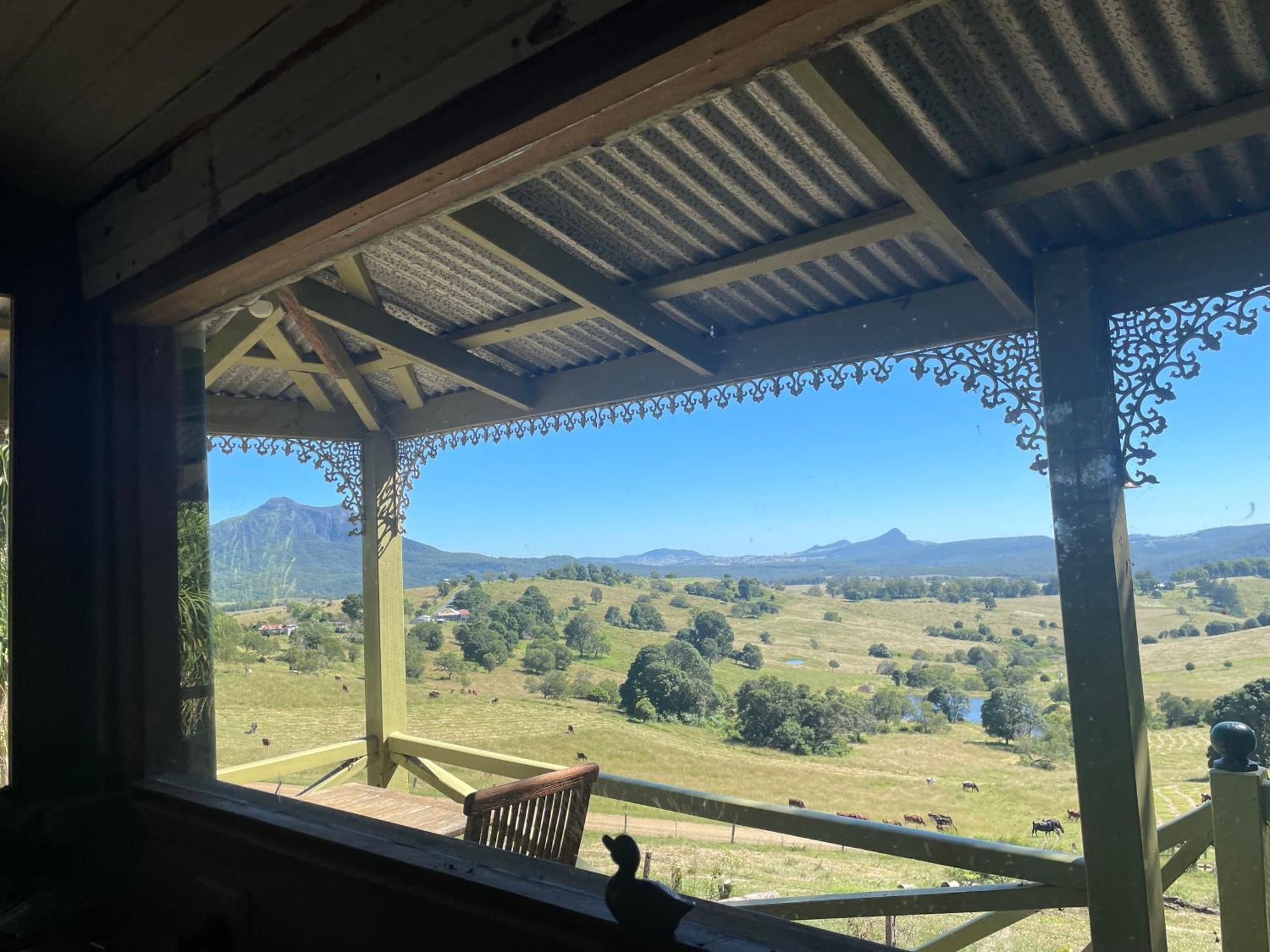 Barney Views Barney View