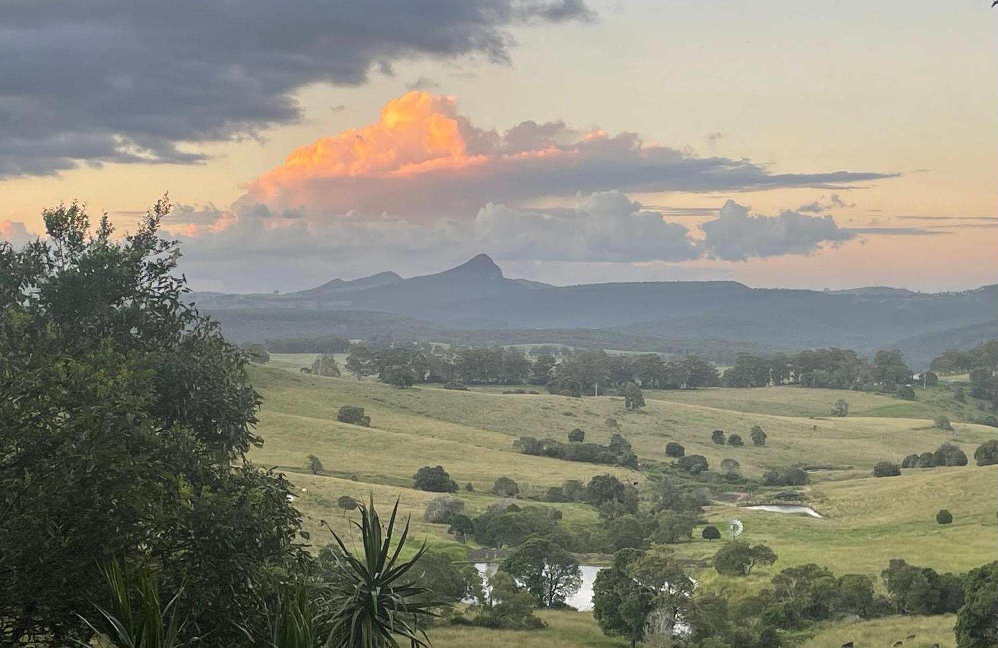 Barney Views Barney View