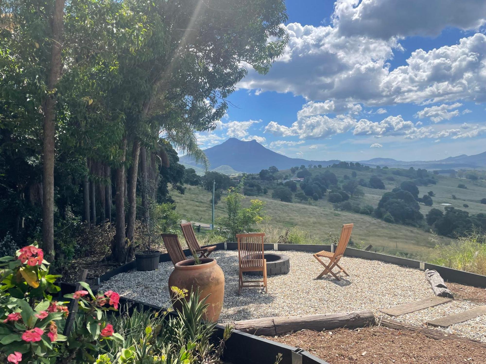Barney Views Barney View